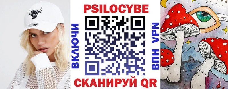 KRAKEN ССЫЛКА  Гвардейск  Псилоцибиновые грибы Magic Shrooms  купить  